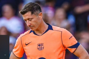 九游娱乐-莱万多夫斯基新星大胜表现惊艳，公牛未来可期！的简单介绍